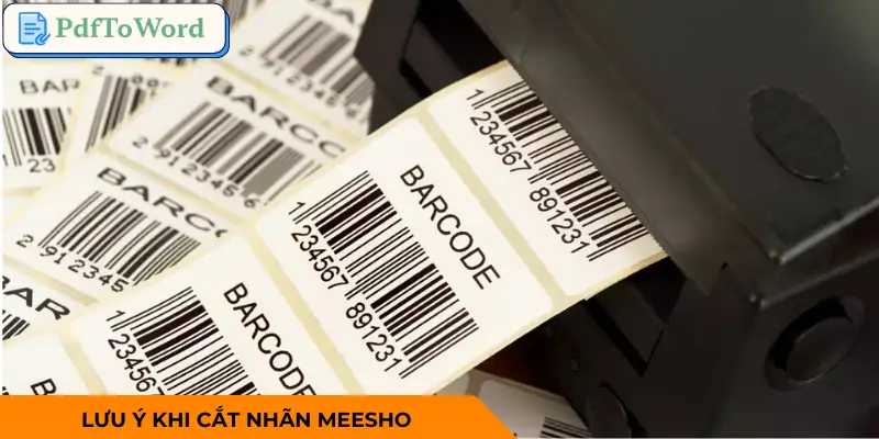 cat-nhan-meesho-luu-y