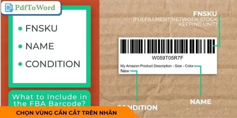 cat-nhan-van-chuyen-amazon-chon-khu-vuc-can-cat