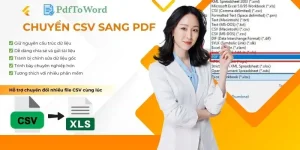chuyen-csv-sang-pdf