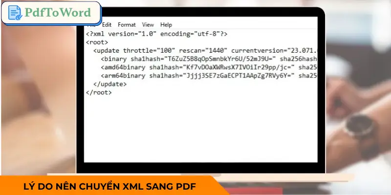 chuyen-xml-sang-pdf-ly-do